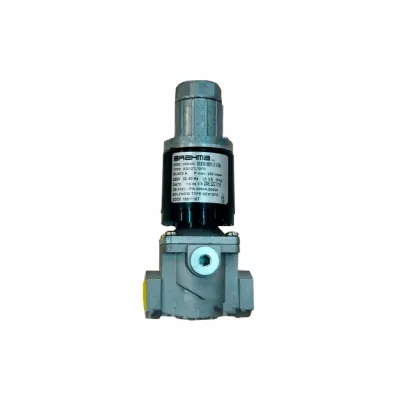 Газовый электромагнитный клапан EG12*L*GFD 13923205 Brahma