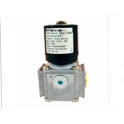 Газовый электромагнитный клапан EG15*AP*AFD7 13924070 Brahma